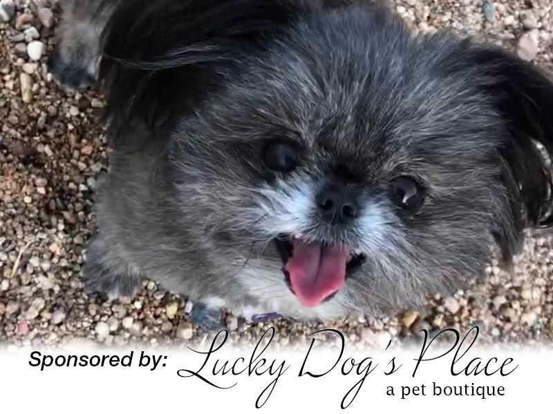 Lucy